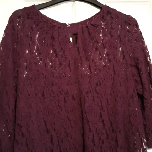 Taylor Dresses Dresses & Skirts - 3/4 sleeve lace dress